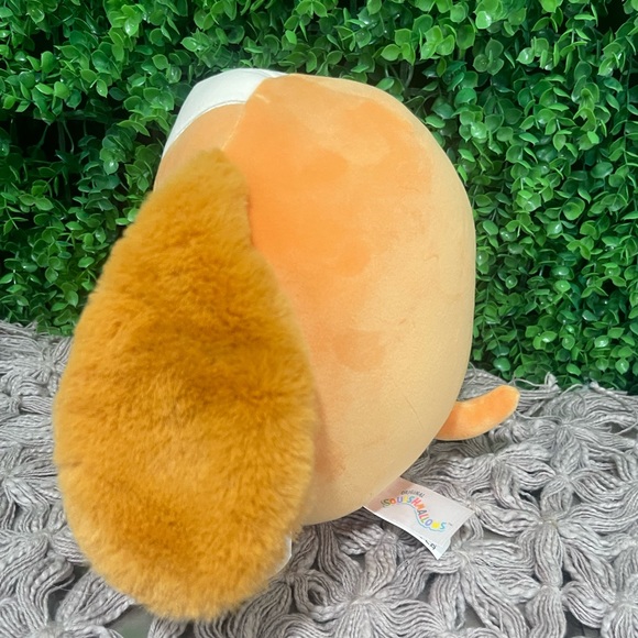 NWT Ysabel the Cocker Spaniel FIRST TO MARKET Squishmallows 7" - Picture 5 of 6